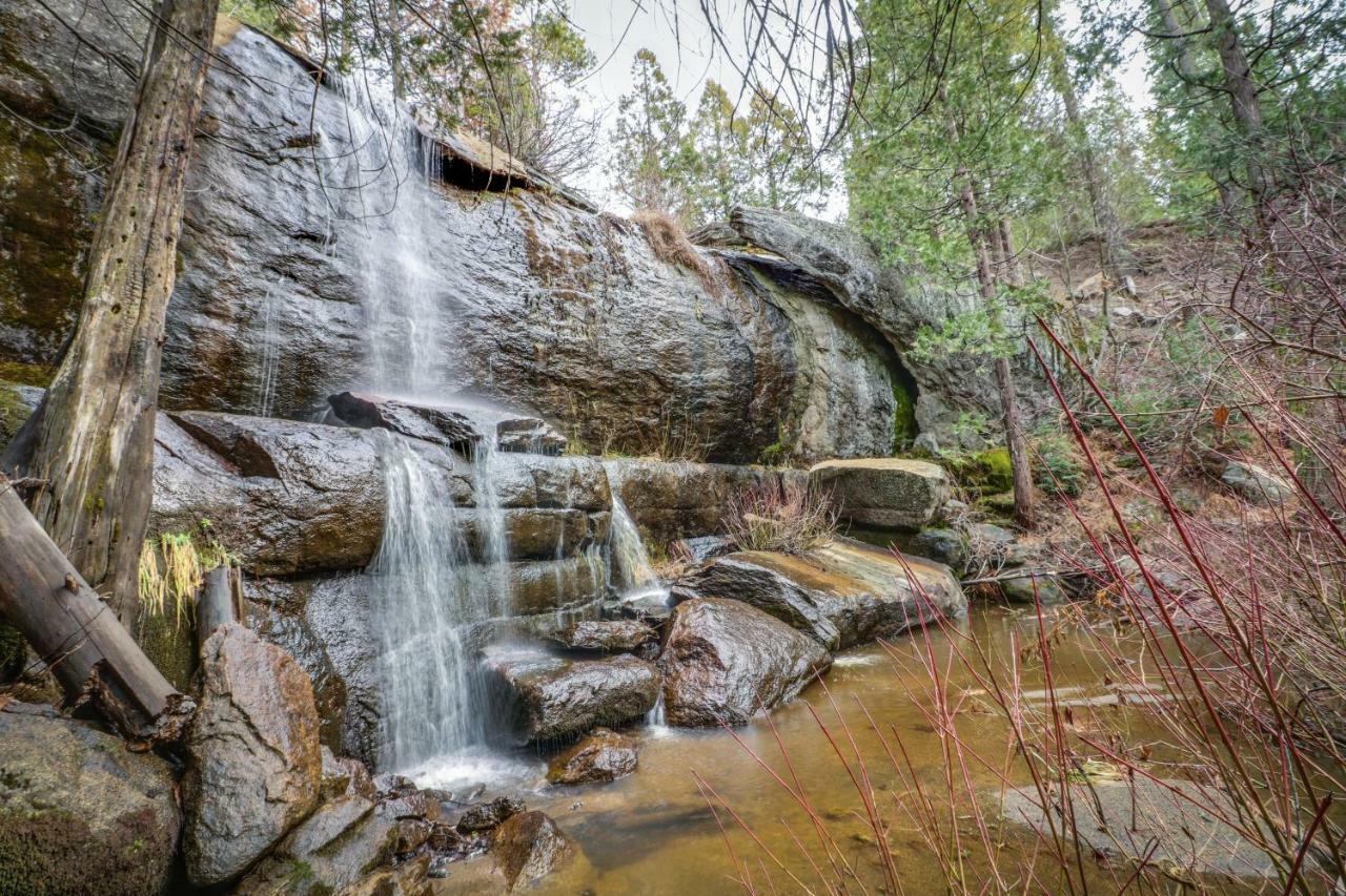 Forest Falls Shaver Lake Dış mekan fotoğraf